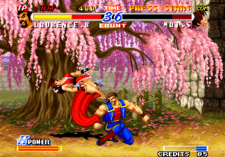 Real Bout Fatal Fury 2: The Newcomers abandonware