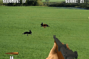 Remington Top Shot: Interactive Target Shooting abandonware